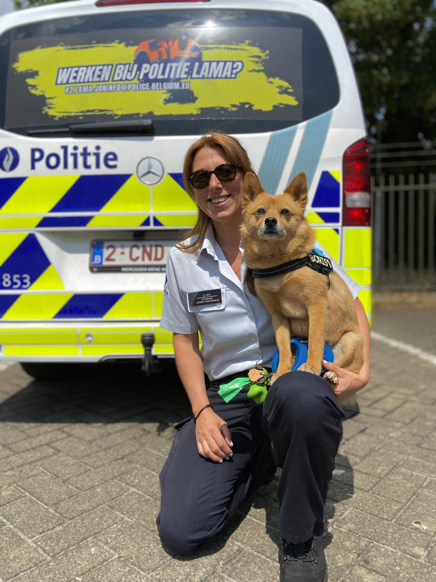 Politie_LaMa's tweet photo. Onze korpshonden 🐕 Qwando, Waldo en Jeanneke komen natuurlijk altijd naar het werk.
Maar vandaag op breng-je-hond-mee-naar-het-werkdag🐾 mochten andere collega’s hun eigen hond ook meenemen.🥰
#brengjehondmeenaarhetwerkdag #LaMa #Beestig https://t.co/obMKhg6sjT