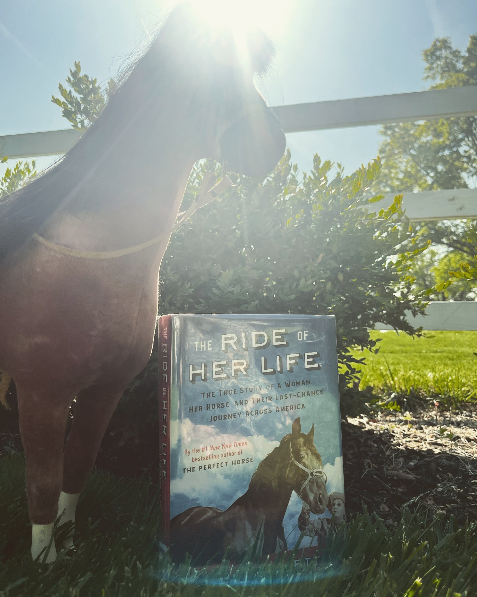 Toledo Library on Twitter "The Ride of Her Life The True Story of a