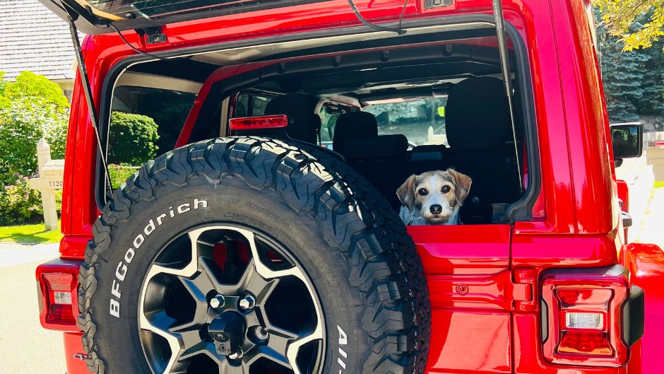 StellantisNA's tweet photo. One perk of having a flexible work environment is... furry co-workers! 🐾

In the spirit of #BringYourDogtoWorkDay, share a photo of your pup in the comments below.

📸: Stellantis NA Communications Team

#FlexibleWork #HybridWork https://t.co/MNEkSOqw5w