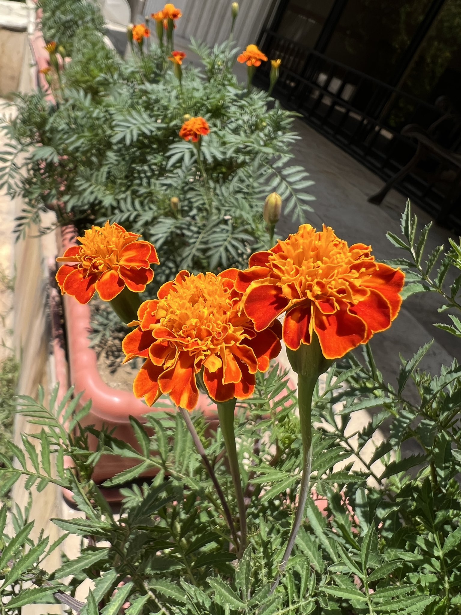 Dr Parisaa,OBGYN(REI) on Twitter: "https://t.co/6a7kOlQBVd" / Twitter