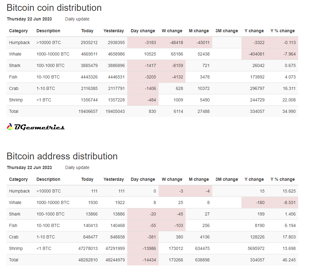 vinteumpt's tweet photo. Tanto a distribuição de carteiras de bitcoin como os saldos de Bitcoin inferiores a 10 btc têm vindo a crescer há mais de uma década, com destaque para o último ano, o que significa que a oferta tem vindo a ser distribuída de forma mais uniforme. https://t.co/d4Y79kZF5t