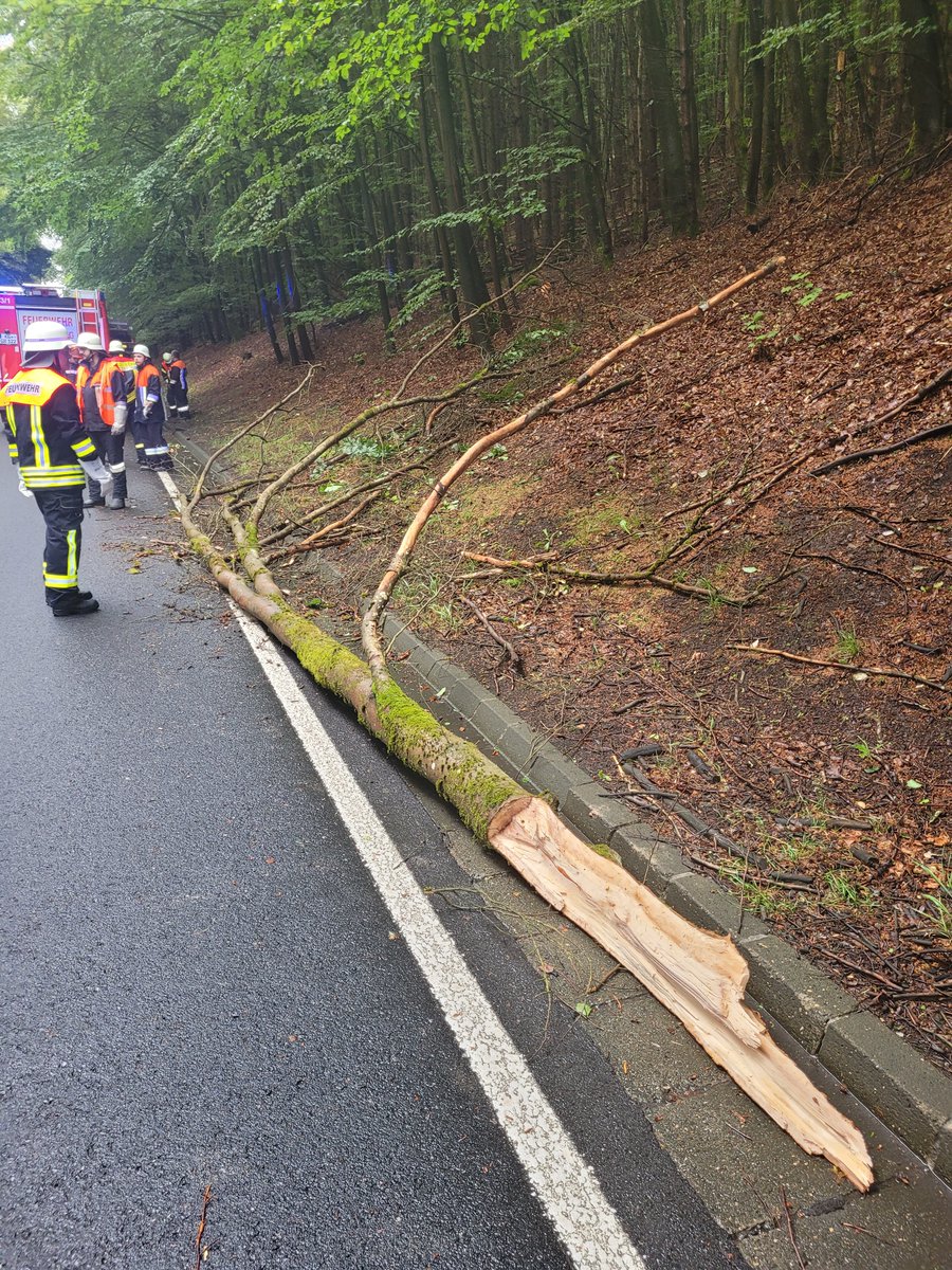 FWBadBrueckenau's tweet photo. Einsätze: Wespennest auf Balkon im Stadtgebiet und umgestürzter Baum auf #B286 Richtung Schildeck.
#EinsatzfürBadBrückenau #FWBadBrückenau #FWRiedenberg #FWRömershag https://t.co/S1fqlCtNOa
