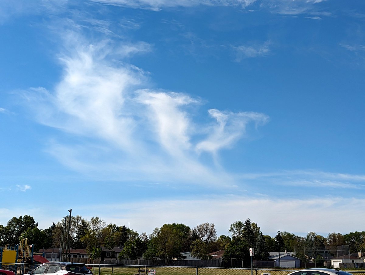 Spothe's tweet image. Virga, also known as jellyfish 🪼 clouds. #Winnipeg #cloudappreciation   #cloudnerd