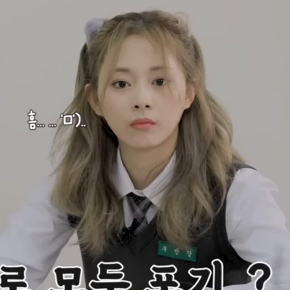 H On Twitter RT choutzuyu99 Hello To The Cutest Person To Ever h-on-twitter-rt-choutzuyu99-hello-to-the-cutest-person-to-ever