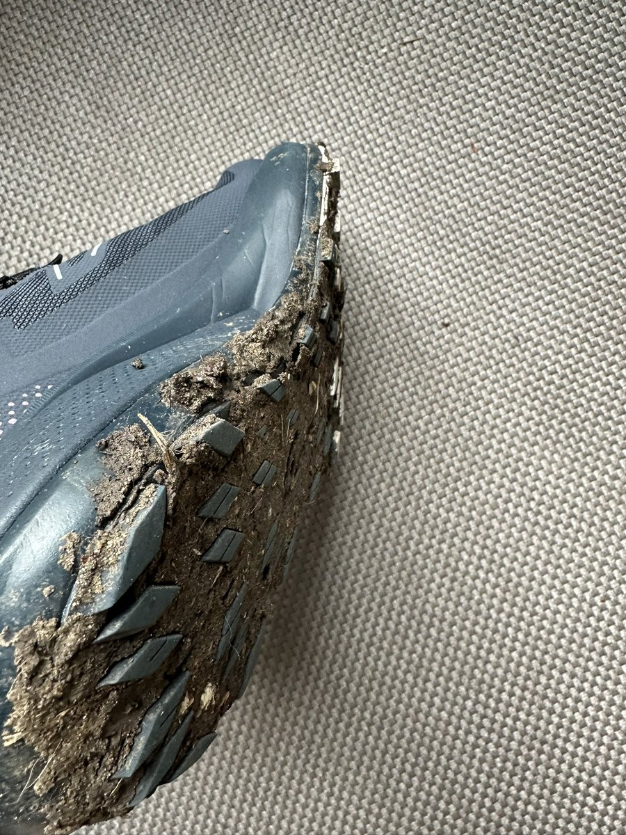 Very muddy and short run on the trails today.