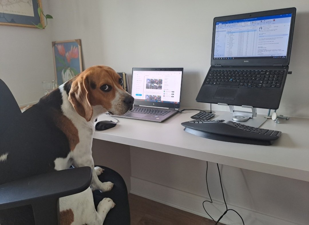 Finally, meet Baxter the Social Media guru behind all of today's #YourCouncilDay posting