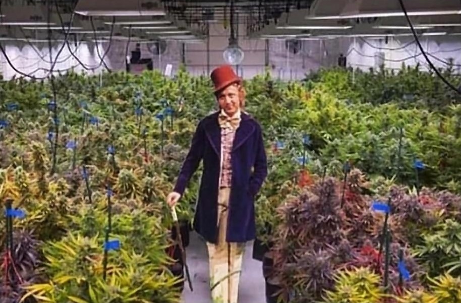 GeniusPothead 💹🧲 tweet media