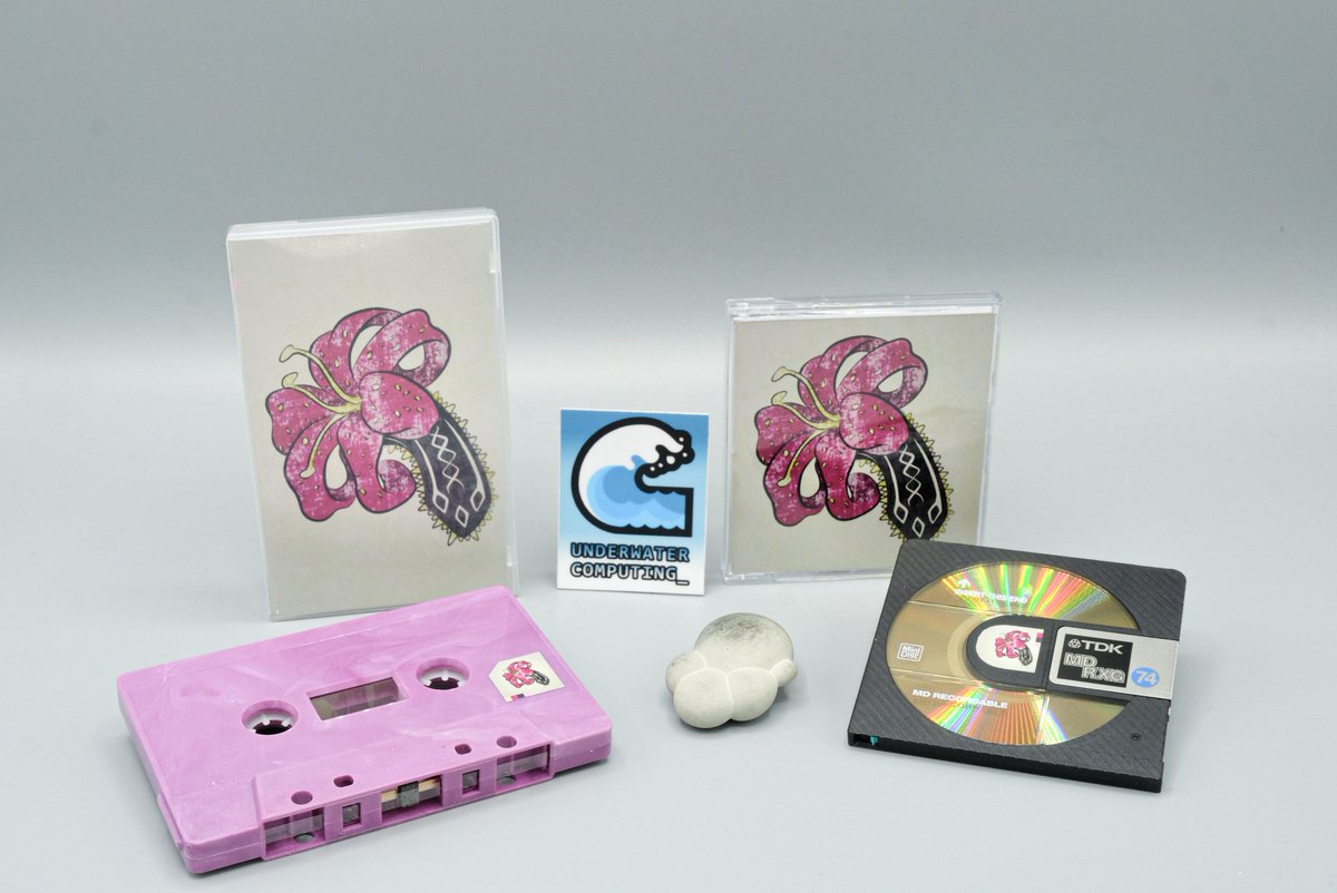 UnderwaterComp1's tweet image. Out now! 悲​し​み​の​花 by c i t a d e l 寒い世界 #signalwave ! On a such beautiful blackberry marbled cassette that we reduced the sticker to it&apos;s minimal expression each cassette is unique, also a nice black/gold minidisc! underwater-computing.bandcamp.com/album/--38