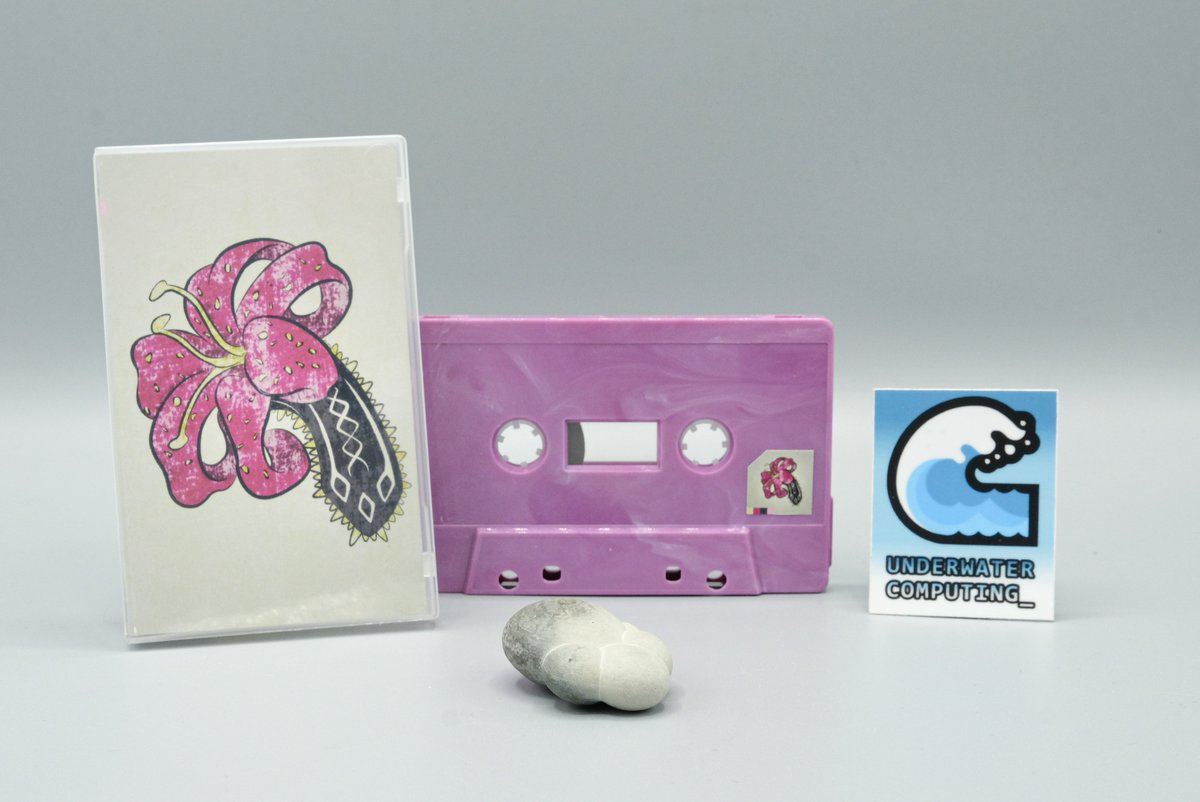 UnderwaterComp1's tweet image. Out now! 悲​し​み​の​花 by c i t a d e l 寒い世界 #signalwave ! On a such beautiful blackberry marbled cassette that we reduced the sticker to it&apos;s minimal expression each cassette is unique, also a nice black/gold minidisc! underwater-computing.bandcamp.com/album/--38