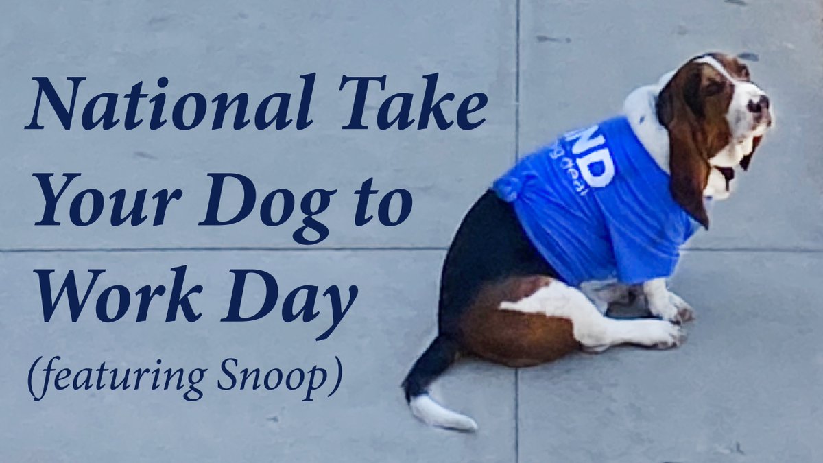 NextStepHC's tweet photo. “Everyone thinks they have the best dog. And none of them are wrong.” -W.R. Purche #TakeYourDogToWorkDay #NextStepHC https://t.co/URQpdpaxQl