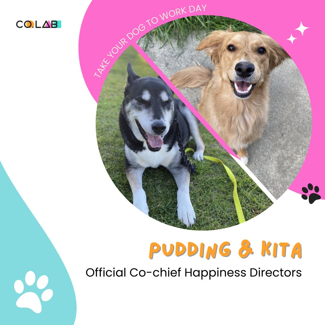 joincolab_io's tweet photo. It's "Take Your Dog to Work" Day! 🐶🎉

Our community is overflowing with adorable and furry co-workers, spreading motivation and joy every day! 

Share the love for our paw-some office companions! 🐾 https://t.co/h96MCbvWwa