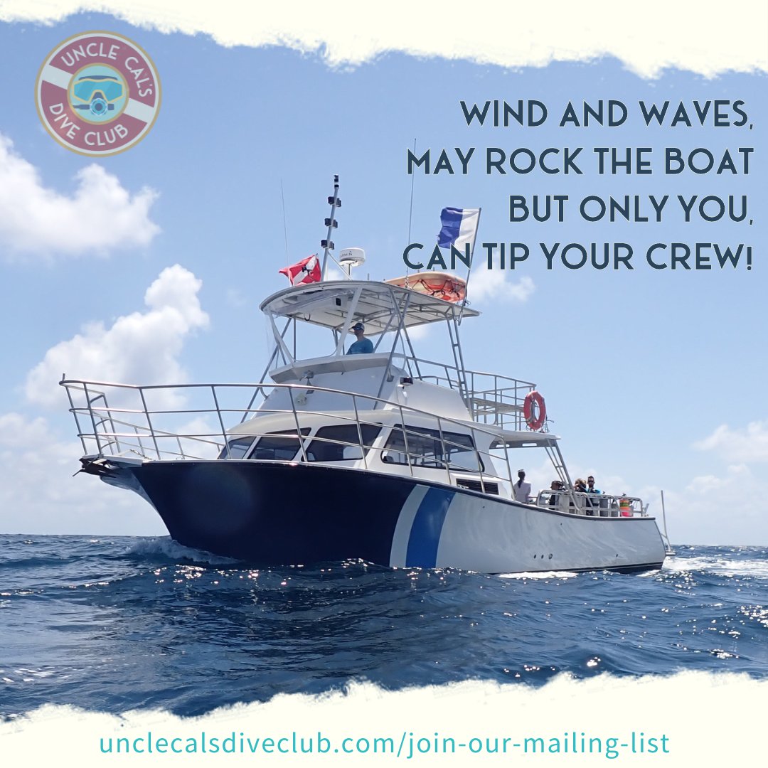 Wind and waves
 may rock the boat,
but only you
can tip the crew.

Make sure you tip your crew when you dive off of a dive boat.

tinyurl.com/23tmhbvy

#scubaDiving #scubaLife #scubaAdvice