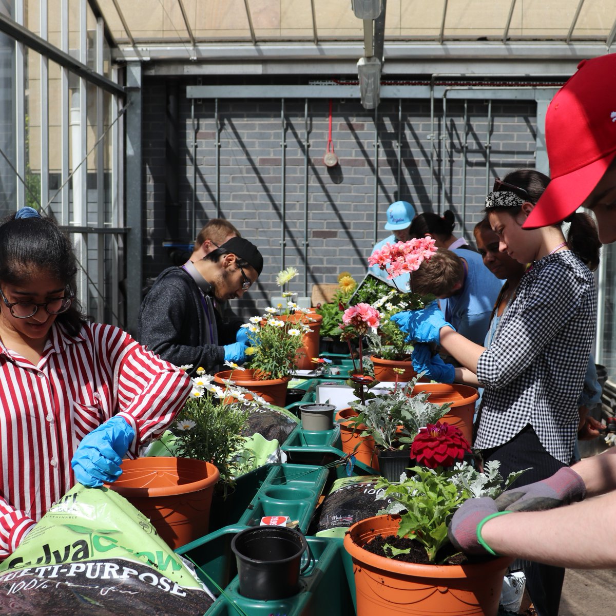 Shipley College tweet media