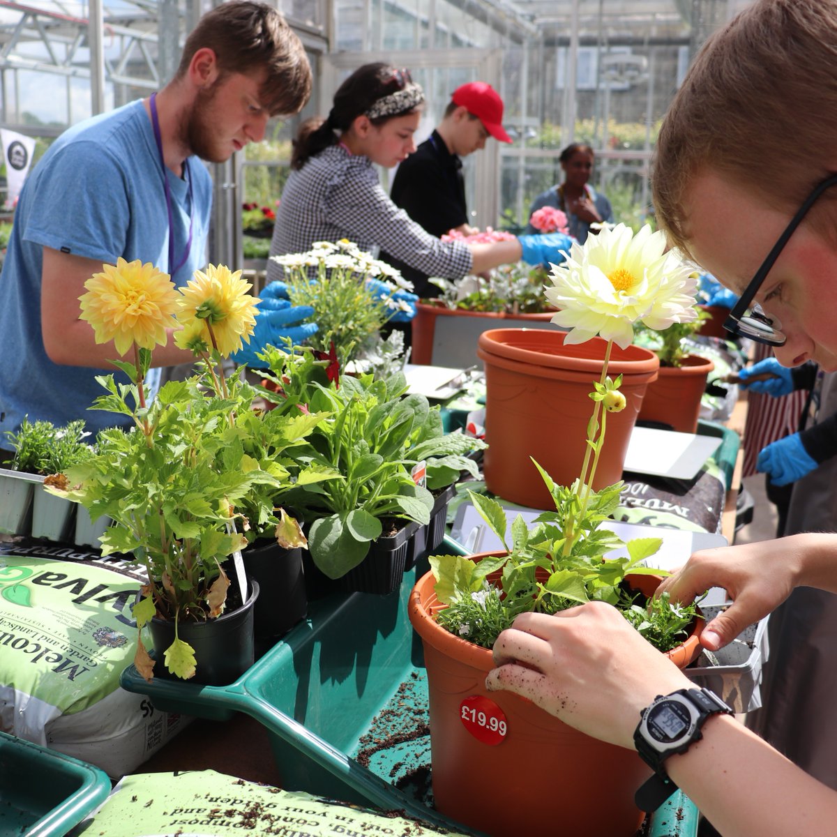 As part of the World Skills 2023 competition, our Foundation Horticulture students potted some plants in our glass house. Well done to everyone involved!