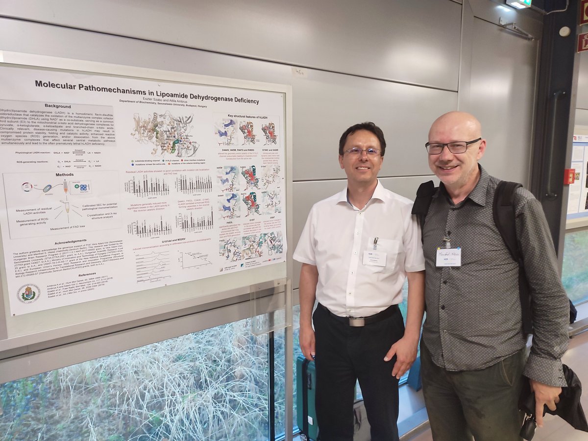 Happening now at the #BESSYusermeeting: the poster session, including posters by our fantastic users, such as Atilla Ambrus from @semmelweishu, presenting a really cool study about pathomechanisms in human lipoamide hydrogenase deficiency! @HZB_BESSY @HZBde @berlinscience