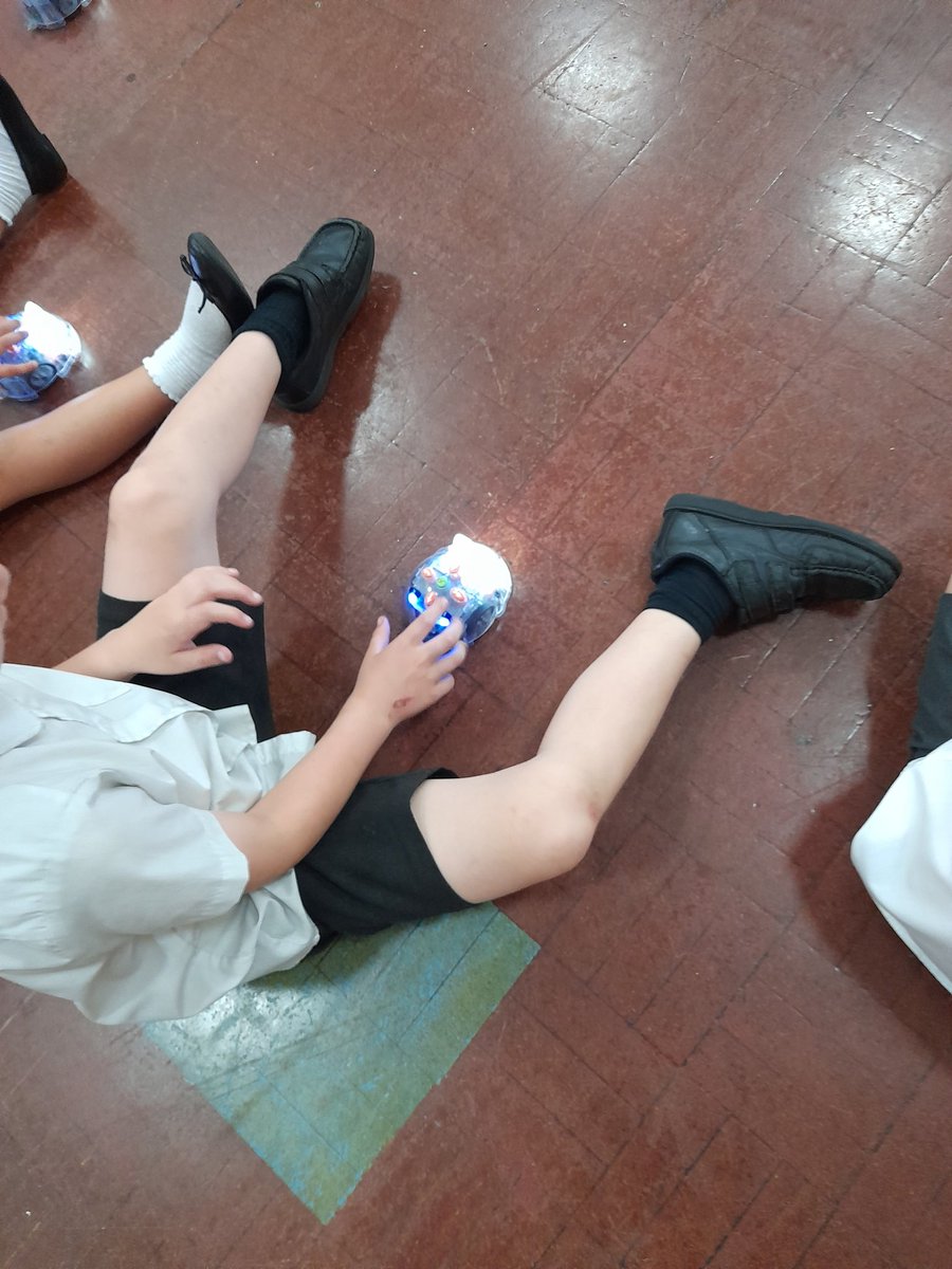 MGLWorld_Neil's tweet photo. This afternoon @GSPSNewZealand and @GSPSAustralia have been continuing with Beebots. Children created their own Beebot help sheet with what the different buttons do. They then worked in pairs to control a Beebot to go to a partner and turn around.  #GSPScomputing https://t.co/t25WSfHn0q