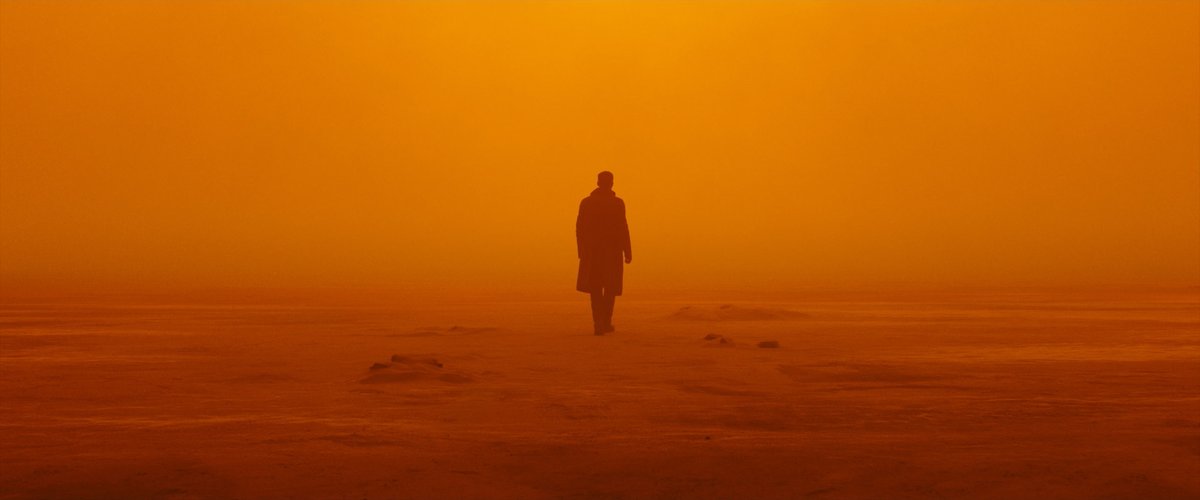 'pain reminds you the joy you felt   was real'

Blade Runner 2049(2017)
Dir: Denis villeneuve