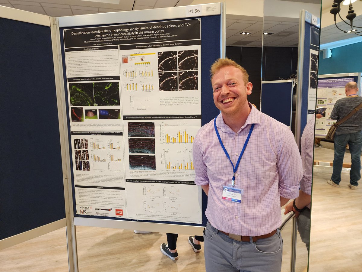Tom Lewis (@tomlewis2310) on Twitter photo Had an amazing time presenting my work last night on how demyelination changes neuronal communication as part of <a href="/LabGlial/">Young Glial Research Team</a> and <a href="/ResearchMenzies/">Menzies Institute for Medical Research</a> at the Dutch Neuroscience meeting #DNM23 Had an amazing time presenting my work last night on how demyelination changes neuronal communication as part of <a href="/LabGlial/">Young Glial Research Team</a> and <a href="/ResearchMenzies/">Menzies Institute for Medical Research</a> at the Dutch Neuroscience meeting #DNM23
