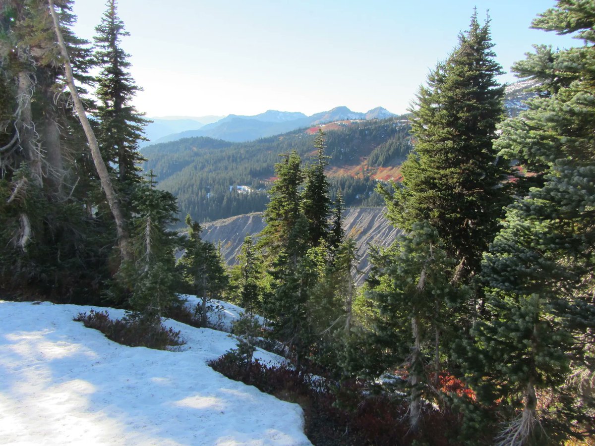 Tomorrow <a href="/ToriTompkins/">Tori Tompkins</a>  will be talking on:  Want End-to-End MLOps? Look no further than Databricks!
Date: Sat 24 June 2023
Agenda: bit.ly/DTCR2023Agenda
Register now: bit.ly/DTCR2023
#azuresynapse <a href="/Azure_Synapse/">Azure Synapse Analytics</a> #MicrosoftFabric #AzureDataCommunity #data