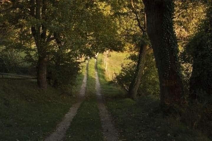 elemmiressoul's tweet photo. nostalgic green. https://t.co/wJjqM5uFBo