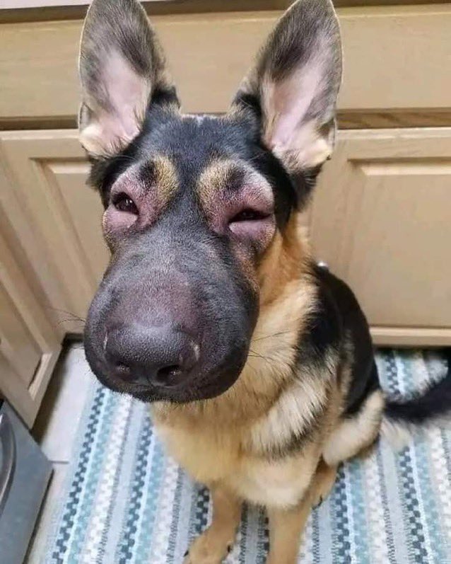 Yo después de decir que no estaba llorando