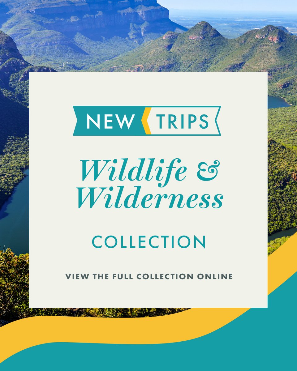 From polar regions to lush rainforests, our hand-picked wildlife experts will guide you to witness nature's wonders from a safe distance in our new Wildlife & Wilderness Collection. Discover our Wildlife and Wilderness trips now: bit.ly/3NmjyMT