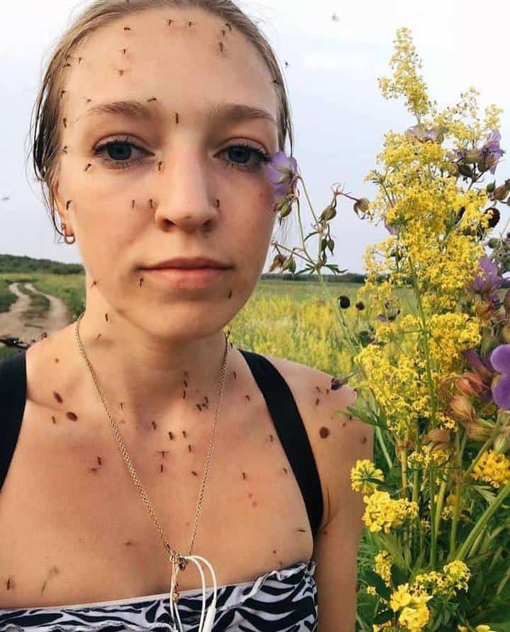 Y hay muchos mosquitos donde vives? 
- Pues ...