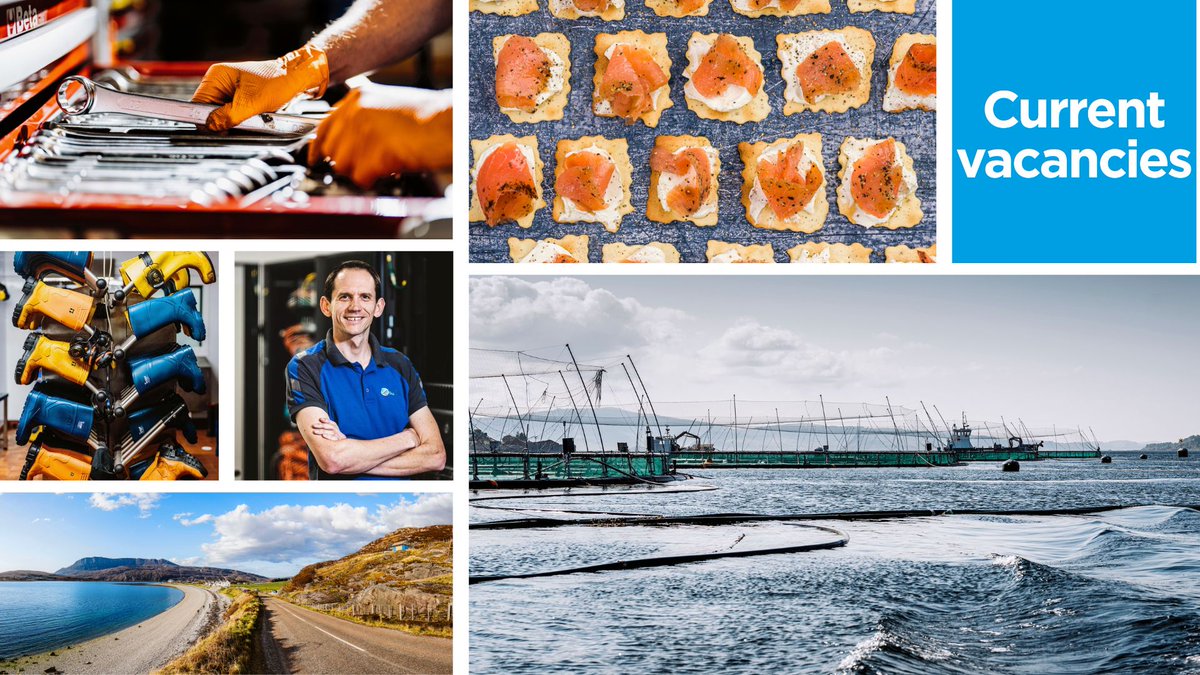 scotseafarms's tweet photo. VACANCIES | From technical to hands-on roles, our #jobsroundup has it all:
SHETLAND Aquaculture Technical Coordinator
HIGHLANDS Marine Husbandry
MAINLAND Field Engineer
OBAN Senior IT Support Analyst / Processing Staff
MULL Marine Husbandry
All details > https://t.co/cokQBZoX3Y https://t.co/DV1KRqZNP6