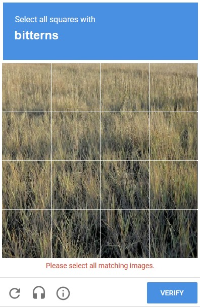 Joe Tadros (@dkman610) on Twitter photo 