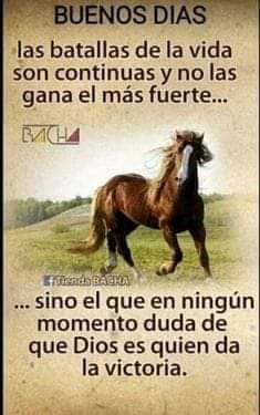 Maria Cristina Dominguez Gabriel (@mar_cr24) on Twitter photo 