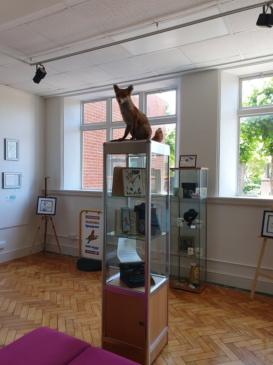 Gosport Museum @GMuseumGallery have an excellent exhibition on right now AnimalVerse. Student art turned into every day (very lovely) objects. Spot all the red owls!