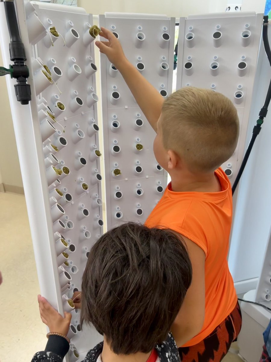 We planted Romain and Green Star lettuce seedlings in our grow towers. Studies show speaking nicely to plants supports their growth. We think the same is true for humans. 🥰 
#HSSDSummerSchool2023