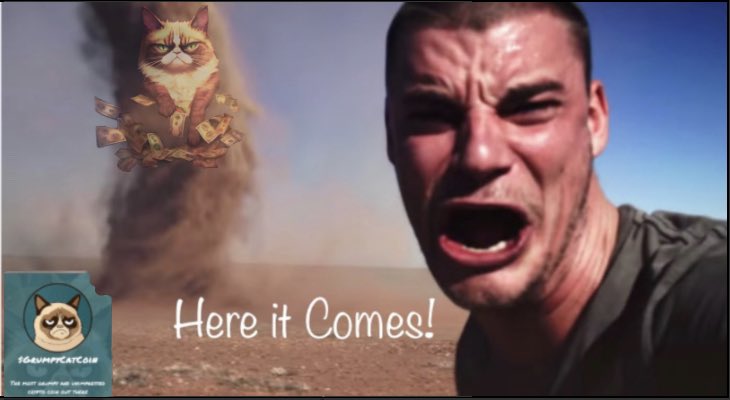 dbcrypto9999's tweet photo. @ProTheDoge #GrumpyCatCoin is the one that is going to take over!!!🔥🔥🔥🔥🔥

#GrumpyCatCoinCommunity #Huobi #PrimeVote @GrumpyCat_Coin https://t.co/ncTfO5jzBT
