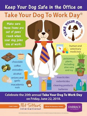 It's Take Your Dog to Work Day! An event that encourages employers to open their workplaces to employees' four-legged family members for a day, creating a unique experience that brings joy and camaraderie to the work environment. 

#takeyourdogtowork #yyc #veterinarian