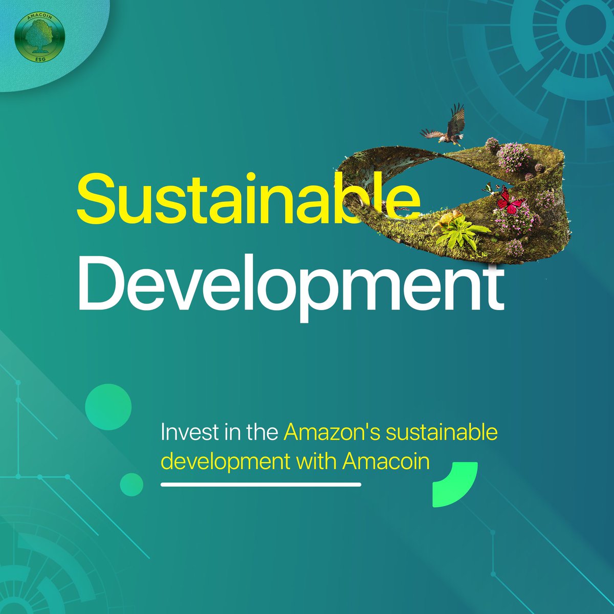 Amacoin_io's tweet photo. Explore the potential of #Amacoin, a revolutionary #crpytocurrency aligned with the #UN SDGs 🍀

Your investment can foster Amazon rainforest #conservation, support local #communities, and protect diverse species 💰

Join our #waitlist at https://t.co/Ez2MQ3RaCW!

1/2 https://t.co/c1jzHt9HVG