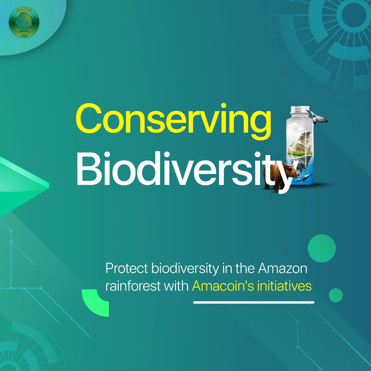 Amacoin_io's tweet photo. Explore the potential of #Amacoin, a revolutionary #crpytocurrency aligned with the #UN SDGs 🍀

Your investment can foster Amazon rainforest #conservation, support local #communities, and protect diverse species 💰

Join our #waitlist at https://t.co/Ez2MQ3RaCW!

1/2 https://t.co/c1jzHt9HVG