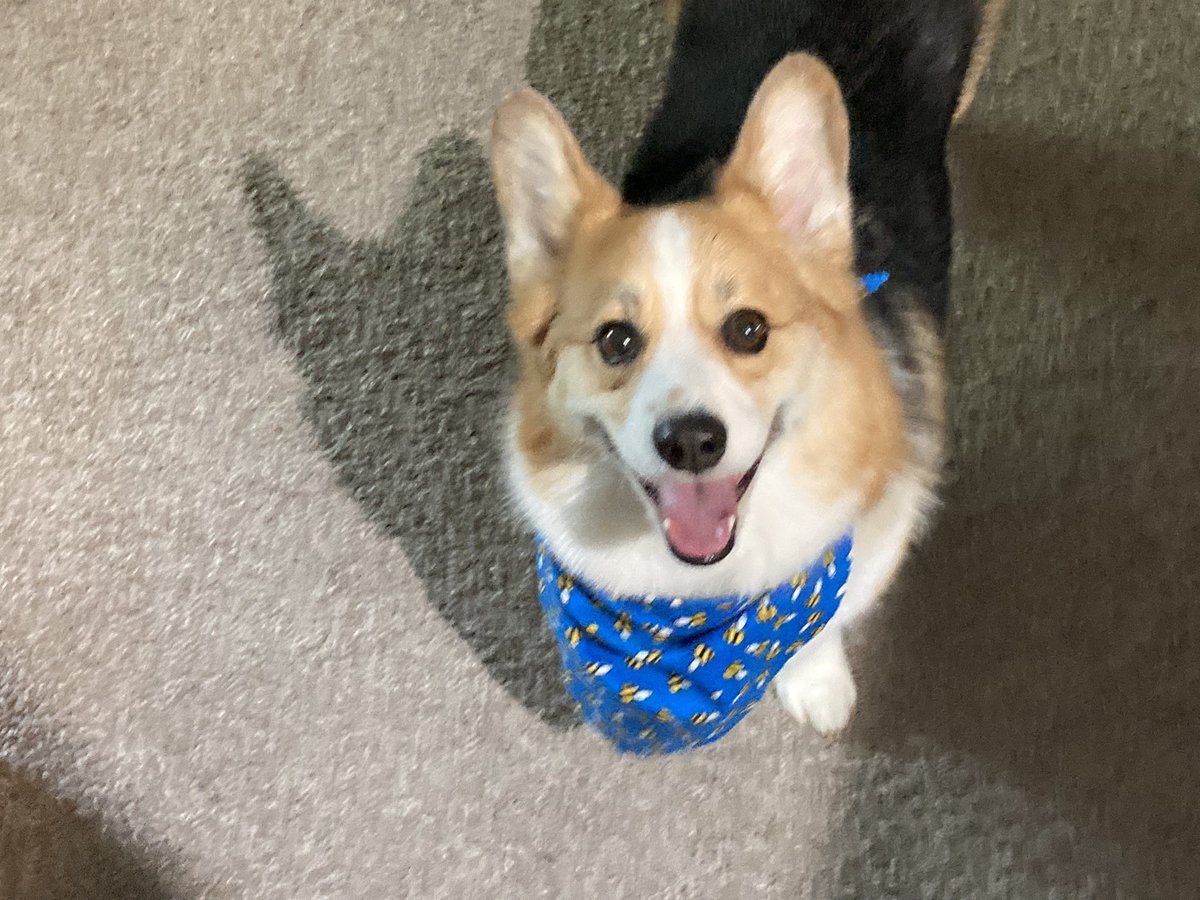 Aaron Campbell tweet media