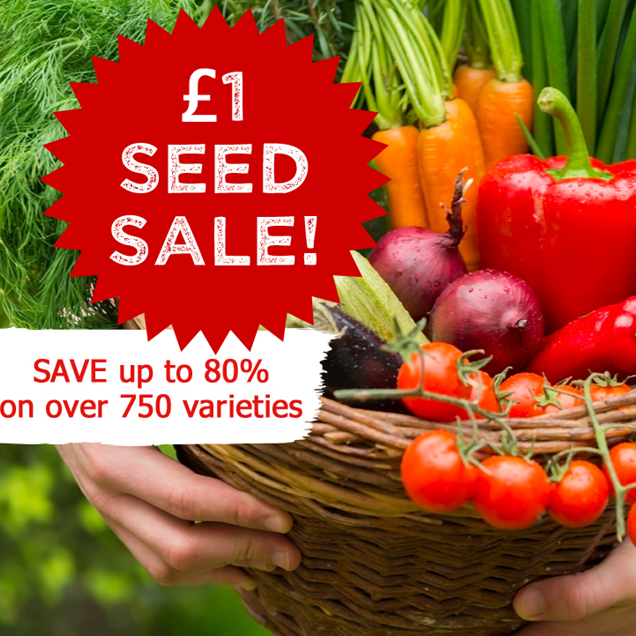Our fantastic £1 seed sale is back 🌱
Save up to 80% on over 750 seed varieties that are ready for direct sowing now, stock up in preparation for autumn, or just grab your favourites!

🥬: mr-fothergills.co.uk/grow-your-own/…
💐: mr-fothergills.co.uk/flowers-garden…
#seedsale #gardeningsale