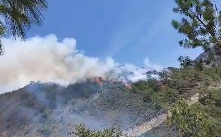 AndyGard86's tweet photo. Fuera de control permanece el #incendio registrado, desde la mañana del pasado miércoles, en la comunidad de #Yehuala, #Puebla; extraoficialmente se sabe que podría rebasar ya las 30 #hectáreas afectadas. https://t.co/xg2yHKFmMO