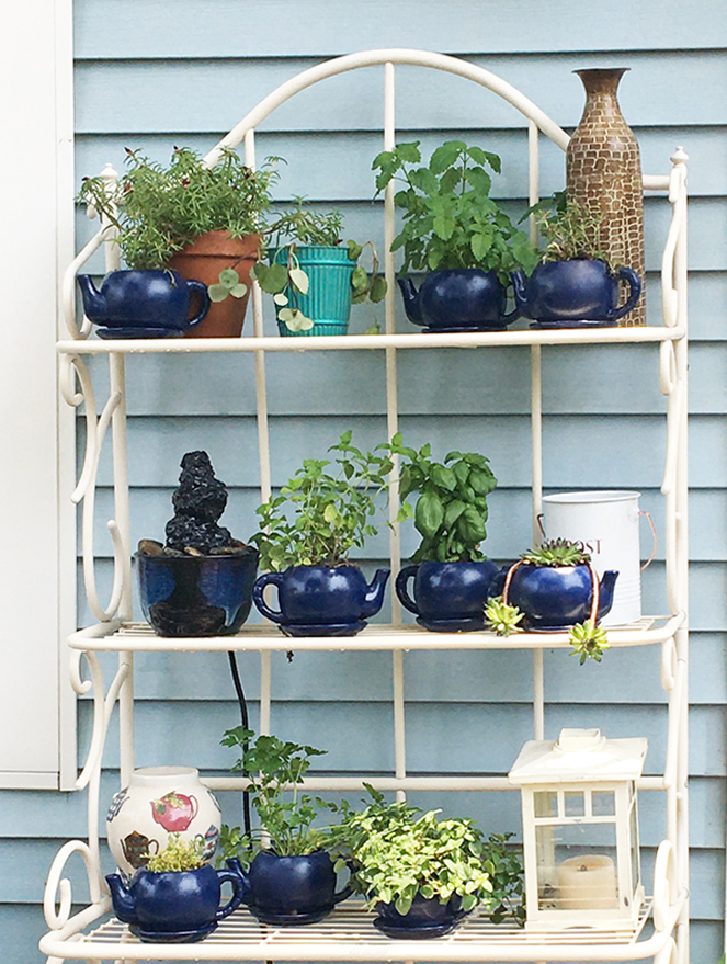 Blue Turtle at Uptown On Main (@BlueTurtleTea) / Posts / X