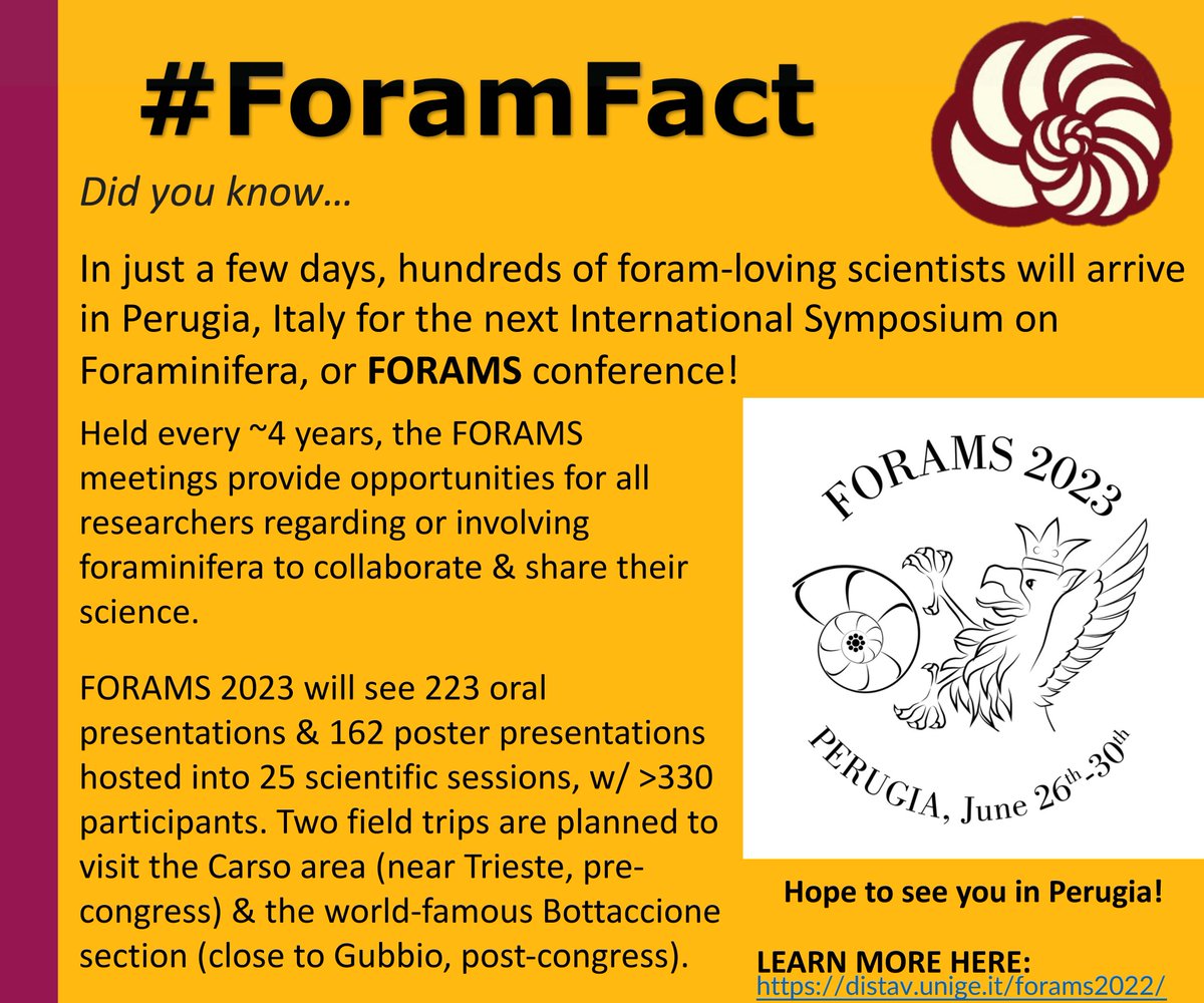 CushmanFdn's tweet photo. Two field trips are planned to visit the Carso area (near Trieste, pre-congress) &amp; the world-famous Bottaccione section (close to Gubbio, post-congress).

Learn more here:
https://t.co/yZj1MGUmQe

Stay tuned for another #ForamFact next week! 3/3 https://t.co/kSvI2avMHj