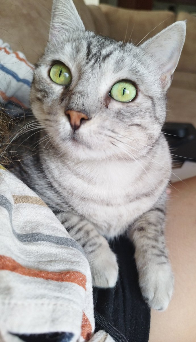 Merhaba çapak temizletme ve masaj için gelmiştim