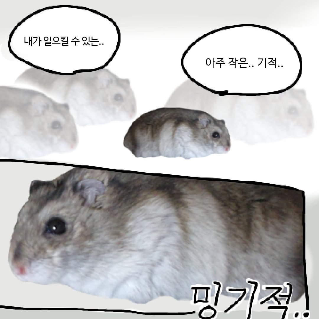 짜장전문점 (@zzajang1027) on Twitter photo 