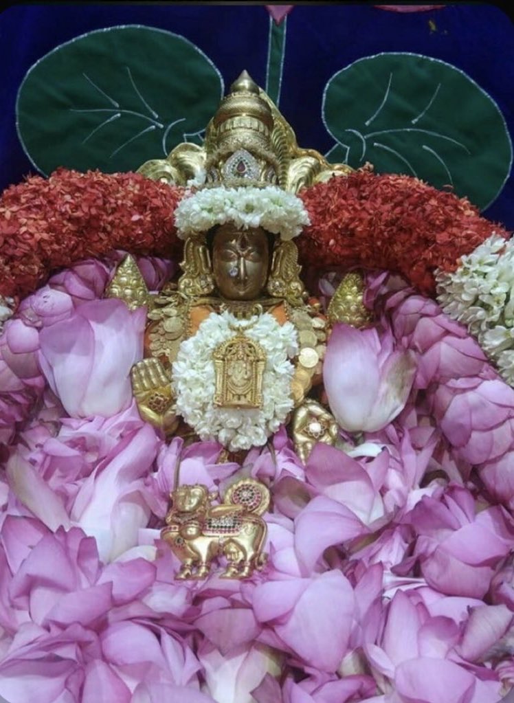 Goddess Padmavati 

Padma means lotus flower and Vathi means Resembles. Padmavathi denotes the one, who resembles the lotus in her beauty. Goddess Lakshmi represents wealth, fortune, and is also known as ‘Shri’-  auspiciousness and prosperity.
+