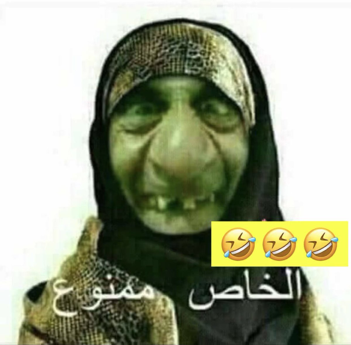 لولي🌸 tweet media