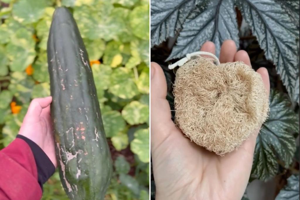 New York Post on Twitter "Influencer reveals the truth about how