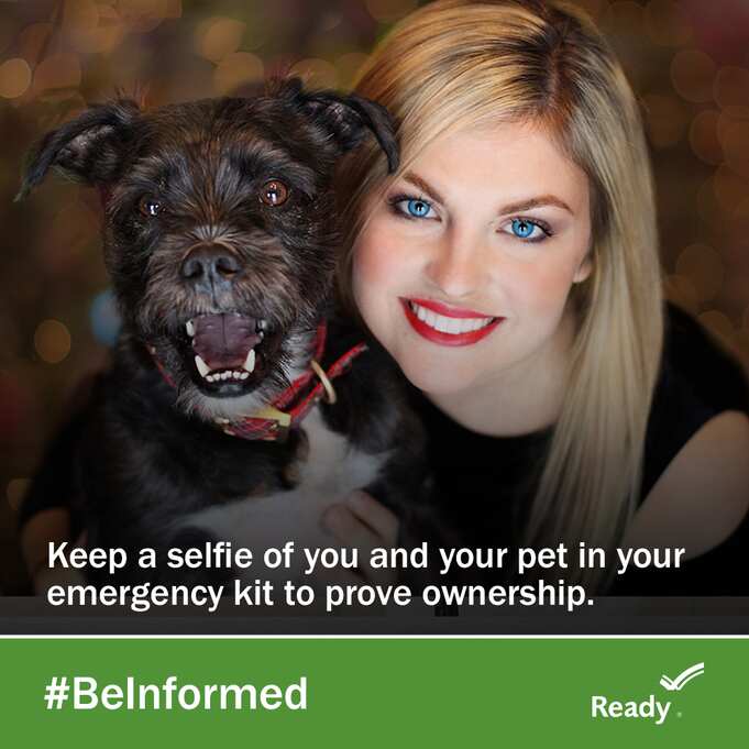 CityofTO's tweet image. #DYK June is National #PetPreparedness Month 🐾

Make sure to include your pets in your family emergency plan! Keep that cute selfie of you &amp;amp; your pet in your emergency kit to prove ownership. 🤳🐶🐴