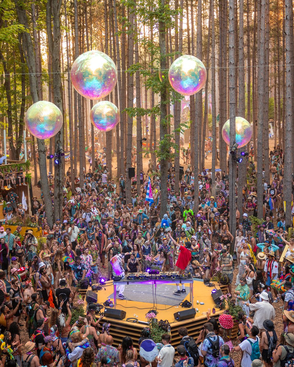 Electric Forest 2023 photo