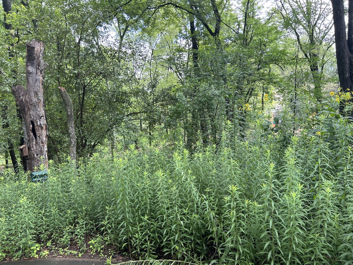 Barbara Alston tweet media