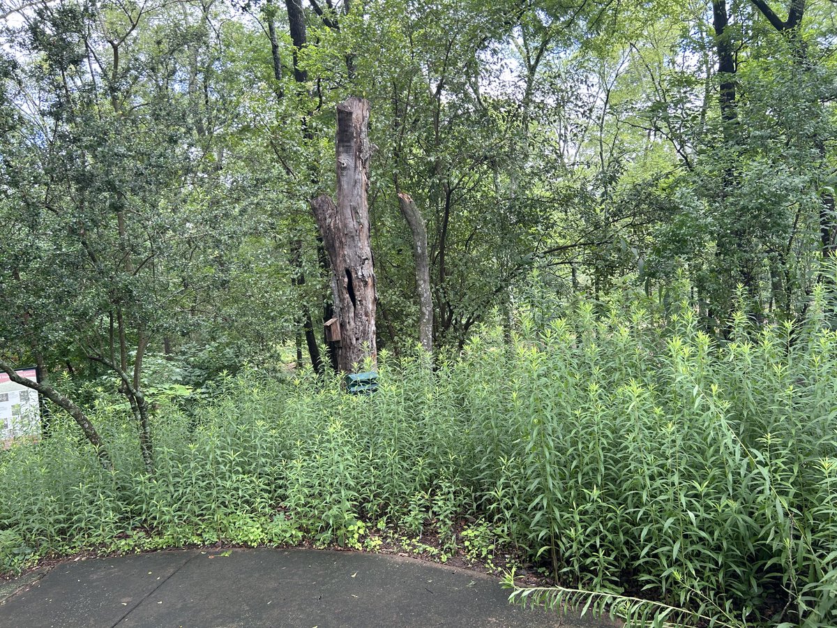 Barbara Alston tweet media